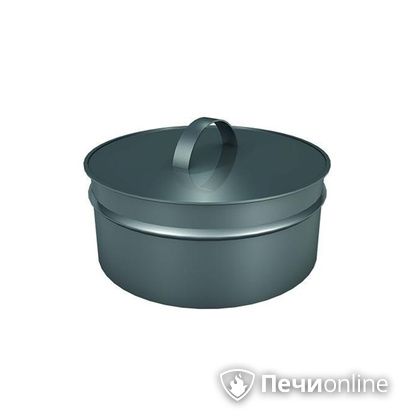 Заглушки Теплов и Сухов Заглушка ревизии Термо-Р 304 0.5 D220(120) в Тавде
