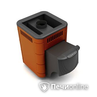 Дровяная банная печь TMF Оса Carbon терракота дверь антрацит в Тавде