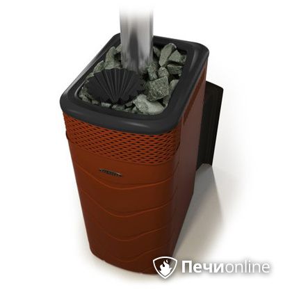 Дровяная банная печь TMF Гейзер XXL 2017 Inox Витра закрытая каменка терракота в Тавде